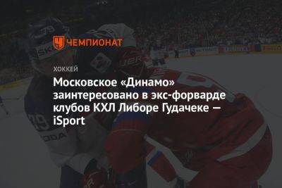 Московское «Динамо» заинтересовано в экс-форварде клубов КХЛ Либоре Гудачеке — iSport