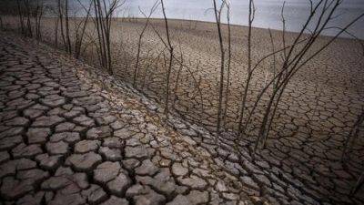 Ученые предостерегают: чем грозит Израилю и миру внезапная засуха