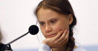 Грета Тунберг - Не прошло и два дня: Грета Тунберг наконец-то прокомментировала подрыв Каховской ГЭС - dsnews.ua - Россия - Украина - Twitter