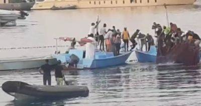 В Египте поймали акулу, которая съела россиянина: туристы устроили с ней фотосессию (видео)
