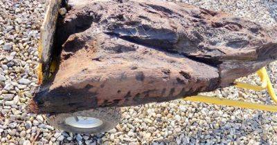 Деревянный сувенир из мезолита: на стройке в Британии найден древний идол (фото)