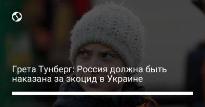 Грета Тунберг - Грета Тунберг: Россия должна быть наказана за экоцид в Украине - liga.net - Россия - Украина - Швеция - Twitter