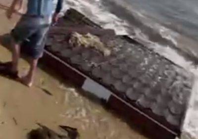 К берегу прибило дом и не только: появилось видео, как выглядит море у Одессы после подрыва Каховской ГЭС