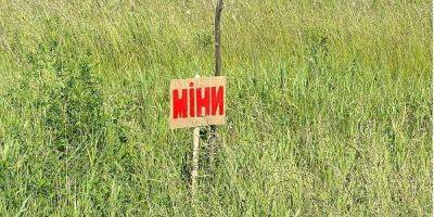 В Черниговской области полицейские подорвались на мине, один из них погиб