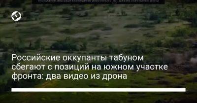 Российские оккупанты табуном сбегают с позиций на южном участке фронта: два видео из дрона