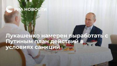 Лукашенко надеется на присоединение других стран к плану действий в условиях санкций