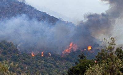 Возле Ютербога распространяется лесной пожар