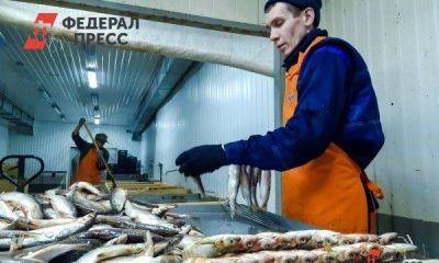 На Ямале начнут выпускать рыбные чипсы