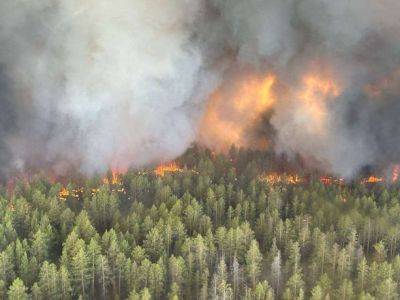 В Казахстане лесной пожар распространился на 30 тысяч гектаров - unn.com.ua - Украина - Киев - Казахстан
