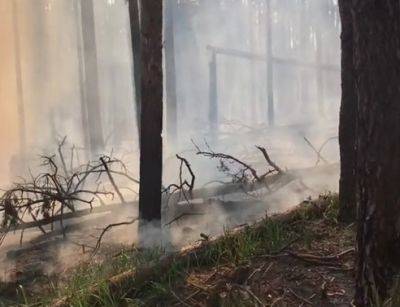 Возле Кременной горят леса - видео