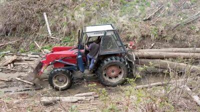 Румыния: варварская вырубка леса на охраняемых территориях
