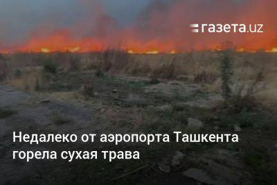 Недалеко от аэропорта Ташкента горела сухая трава