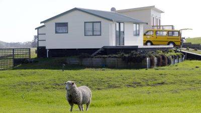 В Новой Зеландии вместо овец стали выращивать леса – это поощряют власти