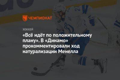 «Всё идёт по положительному плану». В «Динамо» прокомментировали ход натурализации Менелла