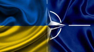 Испания стала 21 страной, поддержавшей членство Украины в НАТО