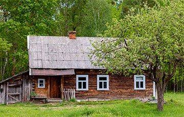 Молодая пара из Бреста купила дом в Беловежской пуще по цене iPhone