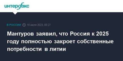 Мантуров заявил, что Россия к 2025 году полностью закроет собственные потребности в литии