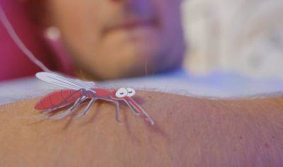 Пендосы и англосаксы атакуют с воздуха: в сети хохочут над спреем от комаров НАТО