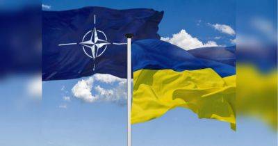 Пришли к консенсусу: НАТО отменит ПДЧ для Украины
