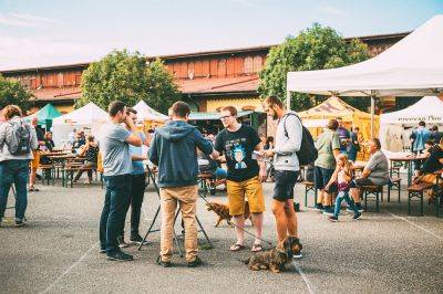 В Праге пройдет фестиваль «летающих» пивоваров