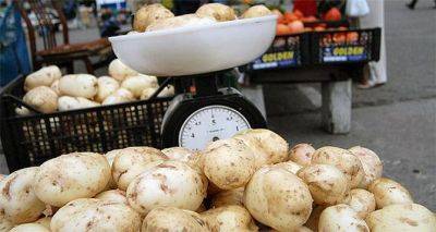 В Украине дешевеет молодой картофель: во сколько обойдется летний овощ - cxid.info - Украина
