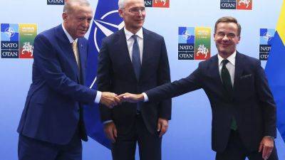 Турция согласилась поддержать вступление Швеции в НАТО