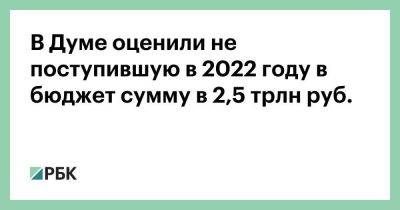 В Думе оценили не поступившую в 2022 году в бюджет сумму в 2,5 трлн руб.