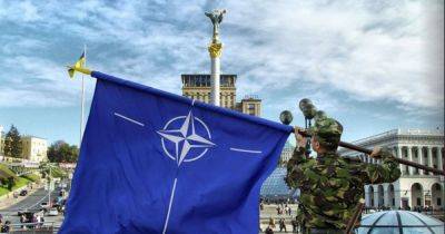 Армия фронта или армия тыла: кто больше мешает вступлению Украины в НАТО