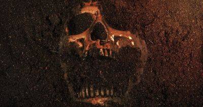 Разоблачение века. Креационисты утверждают, что нашли череп Голиафа — ученые смеются в ответ - focus.ua - Украина