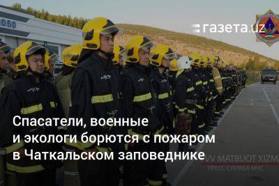 Спасатели, военные и экологи борются с пожаром в Чаткальском заповеднике