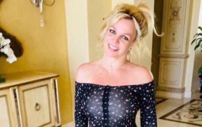 Бритни Спирс - Полиция Лас-Вегаса закрыла дело об избиении Бритни Спирс - korrespondent.net - Украина