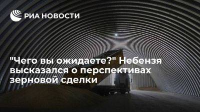Небензя: российская часть зерновой сделки не выполняется, несмотря на усилия ООН
