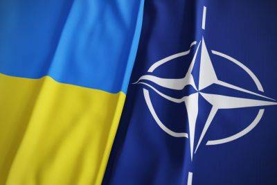 Украину примут в НАТО, но с задержкой