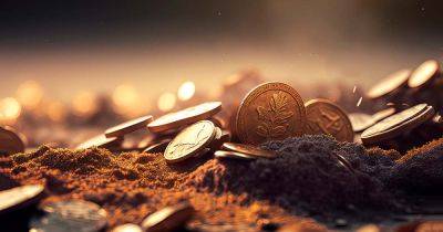 В США фермер нашел золотые монеты времен гражданской войны - фото и видео - apostrophe.ua - США - Украина - Польша - Иерусалим - штат Кентукки - Находки