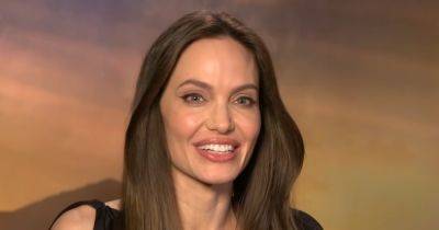 Анджелина Джоли публично высмеяла Брэда Питта
