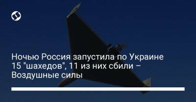 Ночью Россия запустила по Украине 15 "шахедов", 11 из них сбили – Воздушные силы