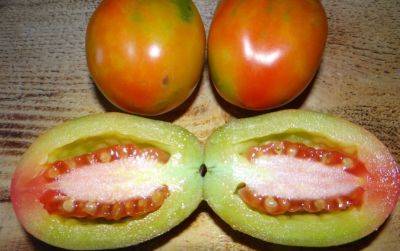 Не повторяйте эту ошибку: вот почему помидоры могут вырасти толстокожими и кислыми