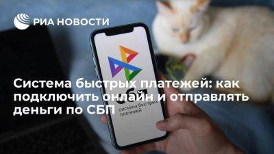 Система быстрых платежей: как подключить онлайн и отправлять деньги по СБП - smartmoney.one - Россия
