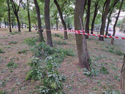 Атака дронов Запорожья 12 июля – обломки сбитого БПЛА упали в парке, ранены 6 человек – видео