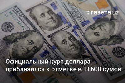 Официальный курс доллара приблизился к отметке в 11600 сумов