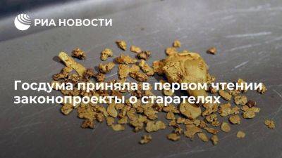 Госдума приняла в первом чтении законопроекты о легализации добычи золота физлицами