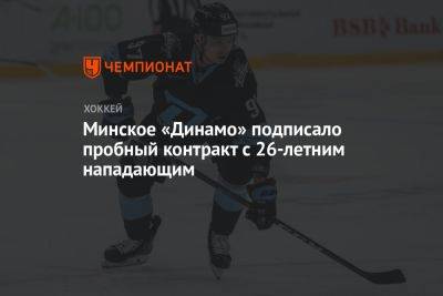 Минское «Динамо» подписало пробный контракт с 26-летним нападающим