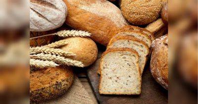Этот тип хлеба может вызвать значительное уменьшение жира на животе, — исследование