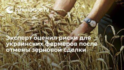 Эксперт Хазанов: украинским аграриям придется нелегко, если зерновую сделку не продлят