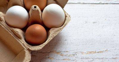 Чем можно заменить яйца. 5 вкусных альтернатив с высоким содержанием белка