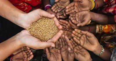 ООН: число голодающих в мире с 2019 года увеличилось на 122 миллиона человек