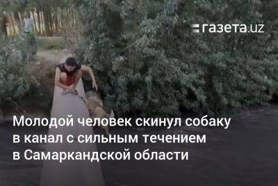 Молодой человек скинул собаку в канал с сильным течением в Самаркандской области