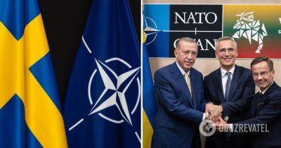 Петр Олещук: Реальный победитель саммита НАТО – Эрдоган, или Почему Украине нужно смотреть на Турцию — Блоги | OBOZREVATEL