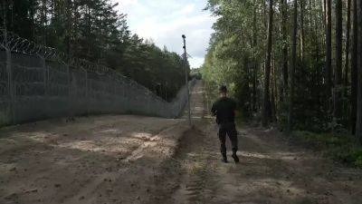 Мигранты не оставляют попыток попасть в Европу через границу с Беларусью