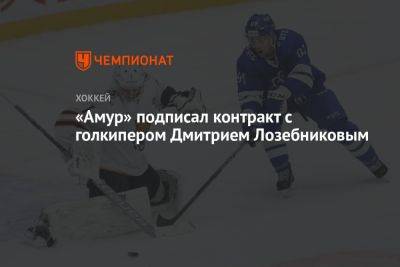 «Амур» подписал контракт с голкипером Дмитрием Лозебниковым